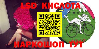 тгк Кингисепп