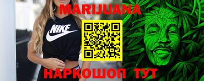 тгк Кингисепп