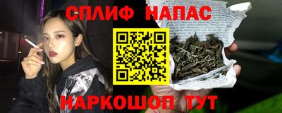 тгк Кингисепп