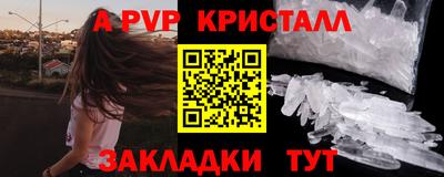 тгк Кингисепп