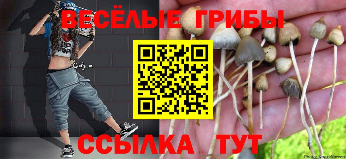 Псилоцибиновые грибы прущие грибы Губкинский
