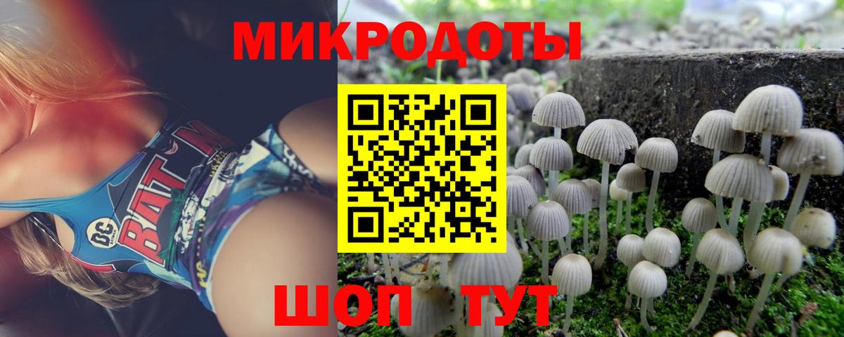 Псилоцибиновые грибы Psilocybine cubensis  Вход с VPN  Губкинский 