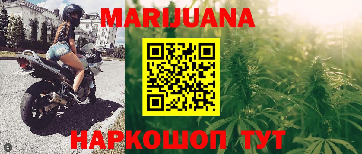Марихуана сатива  Бошки Шишки планчик  Вход с VPN  Бошки Шишки марихуана  Губкинский 